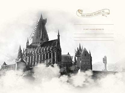 🧙‍♂️✈️ Harry Potter: Back to Hogwarts Travel Set 📚🎒  - Original